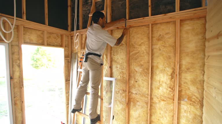 Best Radiant Barrier Insulation  in River Falls, WI