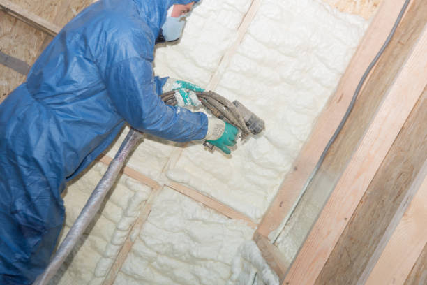 Best Attic Insulation Installation  in River Falls, WI